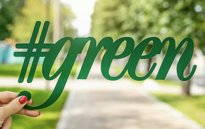 Article Image for Green Investment Products Attract Institutional Interest