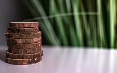 Article Image for Sustainable Finance Attracts Long Term Global Capital