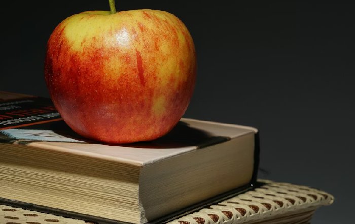 Article Image for The Growing Importance of Financial Literacy Technology