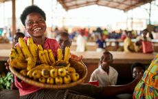 The Might of Finance in Africa