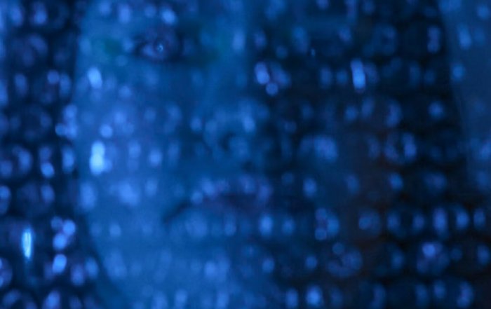 Article Image for The Role of Artificial Intelligence in Fraud Detection