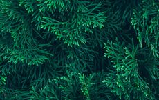 Article Image for The Shift Toward Green Investment Portfolios