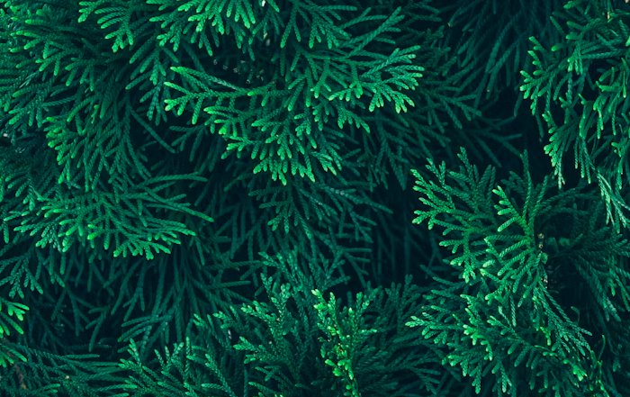 Article Image for The Shift Toward Green Investment Portfolios