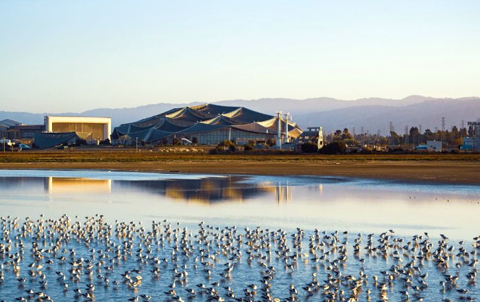 Article Image for The Silicon Valley Model for Fintech Innovation